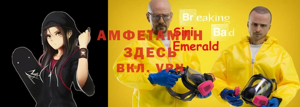 молекула духа Белая Холуница