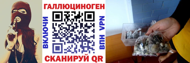 Псилоцибиновые грибы GOLDEN TEACHER  Чулым 
