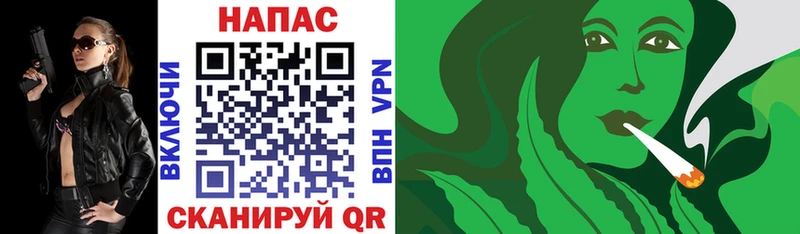Конопля гибрид  omg   Чулым 